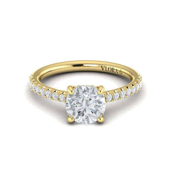 Classic Cathedral Engagement Ring with a Hidden Halo