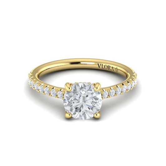Classic Cathedral Engagement Ring with a Hidden Halo