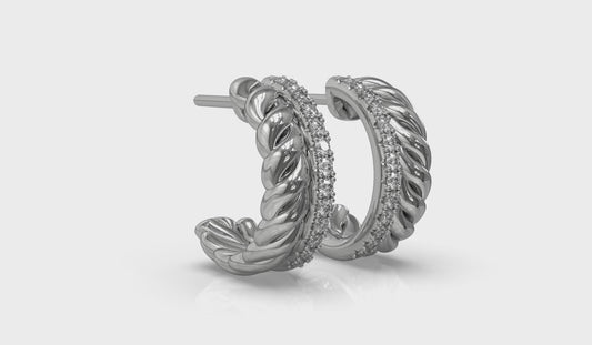 Twisted Double Hoop Earrings