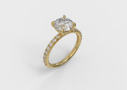 Delicate Classic Engagement Ring